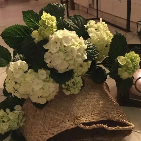 La Maison Des Eaux Claires 3* Puymoyen